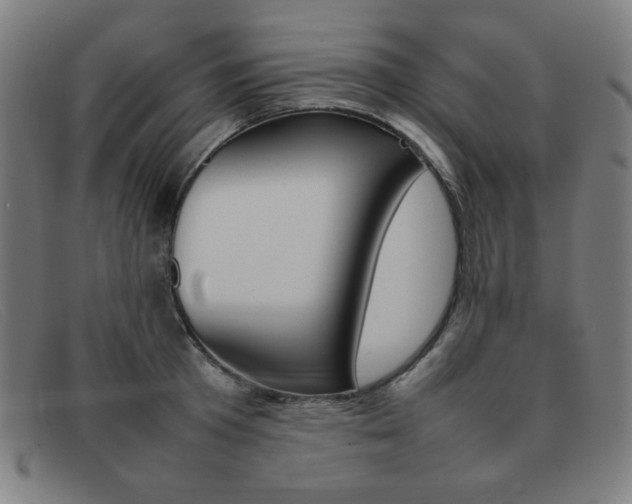 X0000092100801200709121108