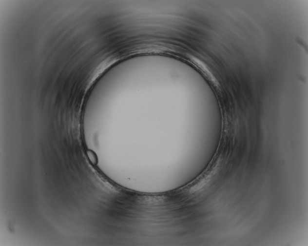 X0000092100802200709121108