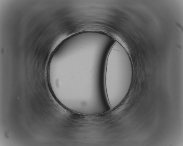 X0000092100803200709121108