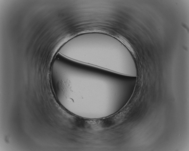 X0000092100805200709121108