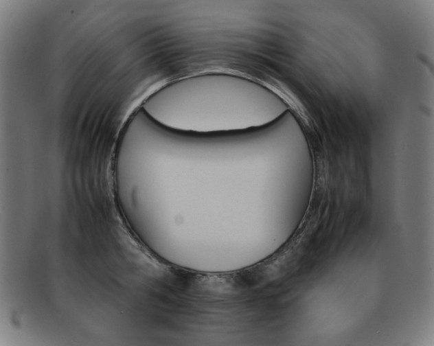 X0000092100806200709121108