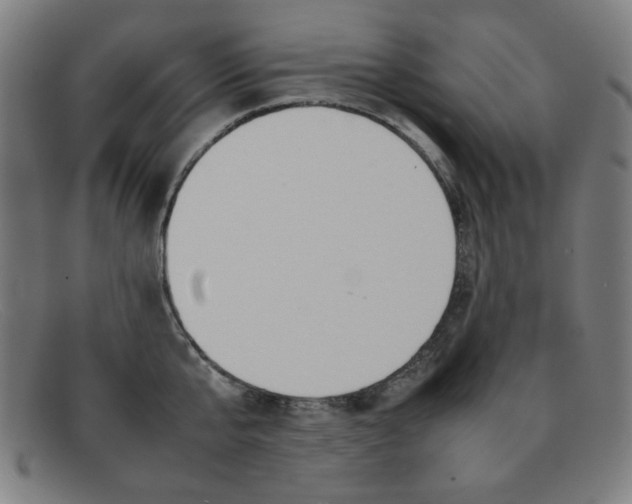 X0000092100807200709121108