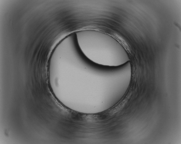 X0000092100808200709121108