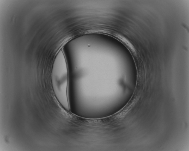 X0000092100809200709121108