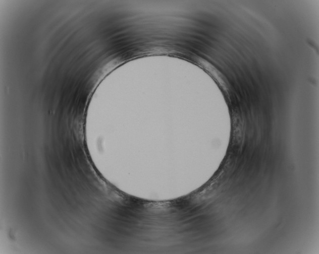 X0000092100810200709121108