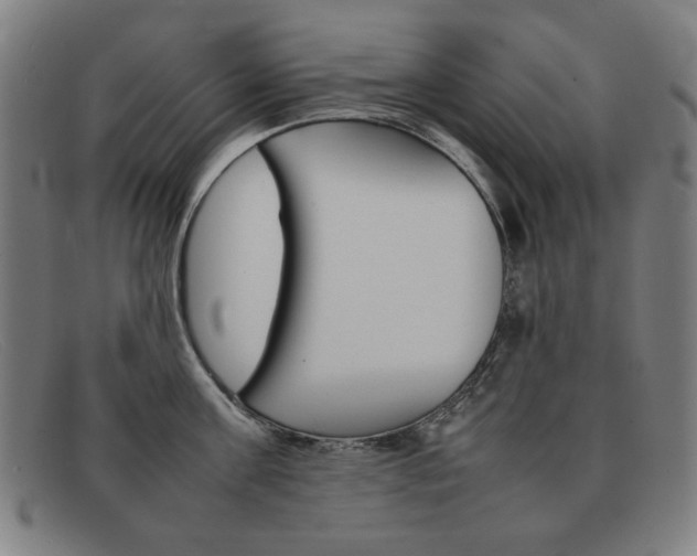 X0000092100811200709121108