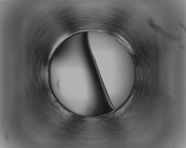 X0000092100812200709121108