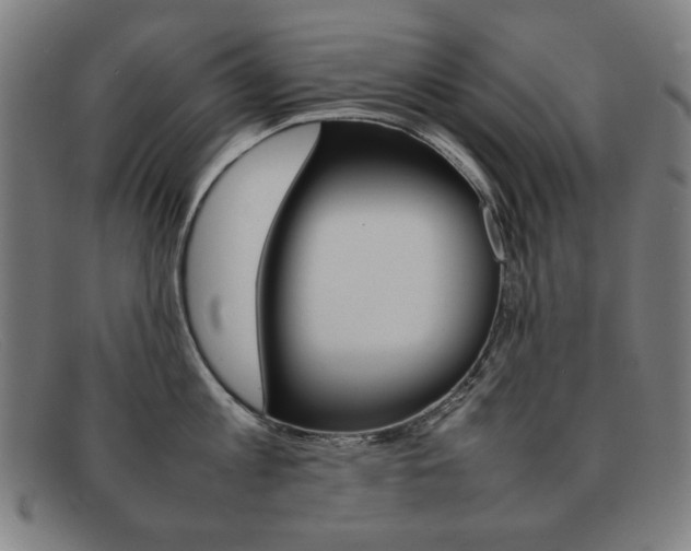 X0000092100813200709121108