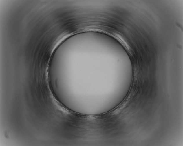 X0000092100814200709121108