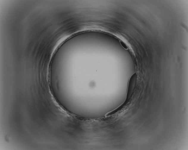 X0000092100815200709121108