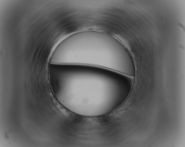 X0000092100816200709121108