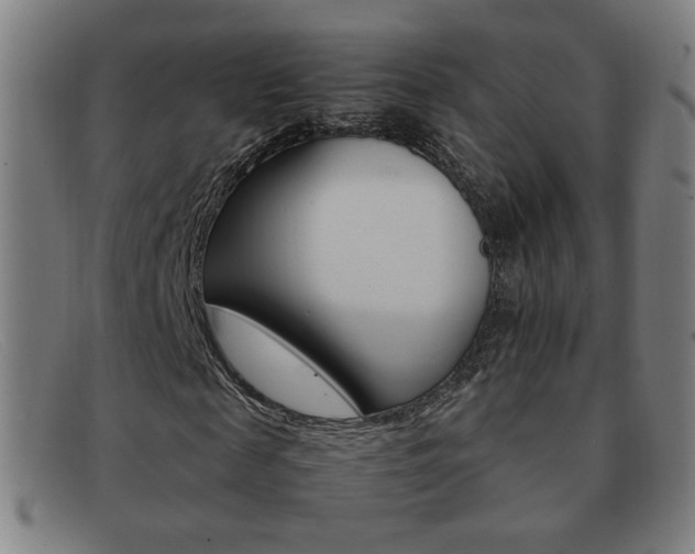 X0000092100817200709121107