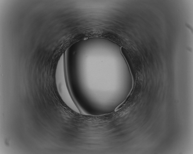 X0000092100818200709121107