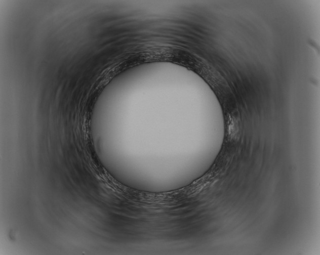 X0000092100819200709121107