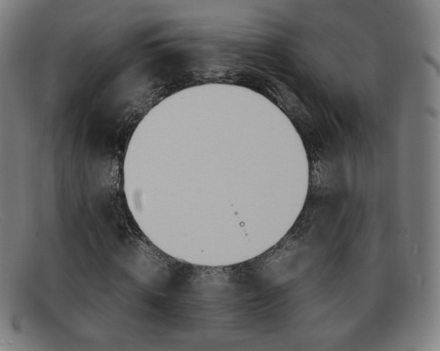 X0000092100820200709121107