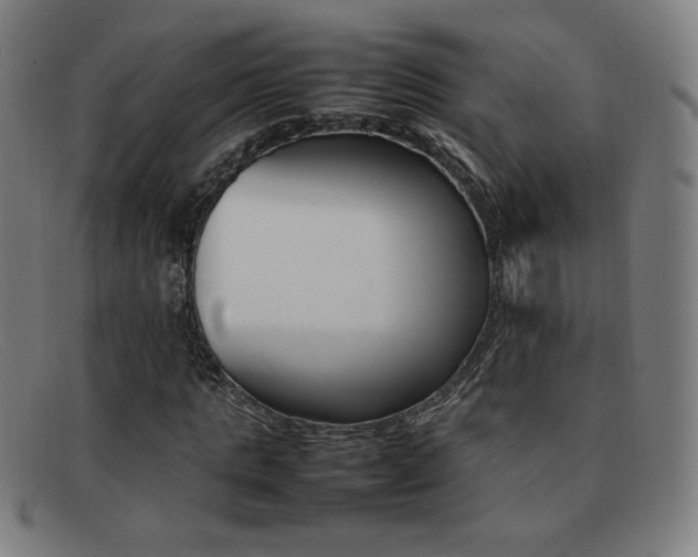 X0000092100821200709121107