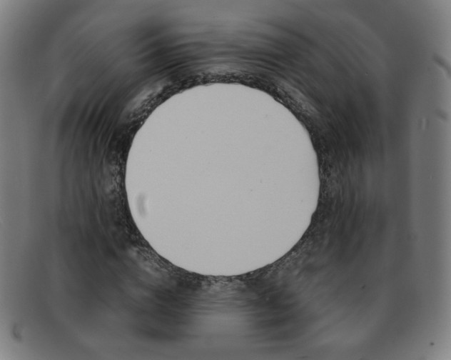 X0000092100824200709121107