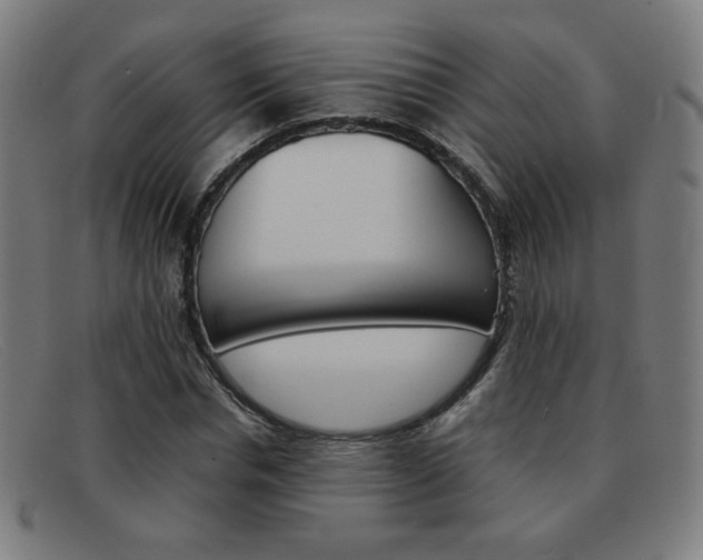X0000092100826200709121107