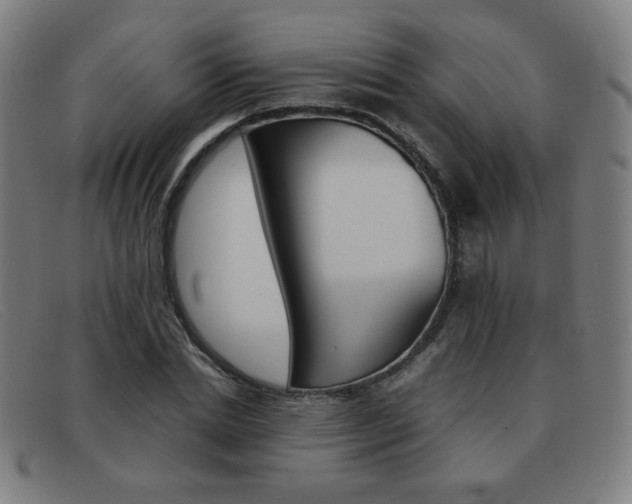 X0000092100830200709121107