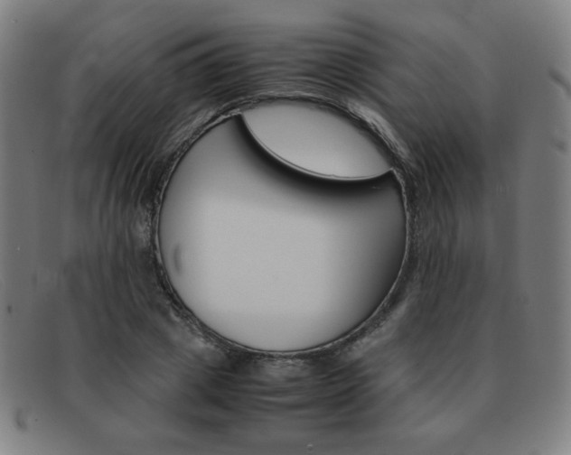X0000092100833200709121107