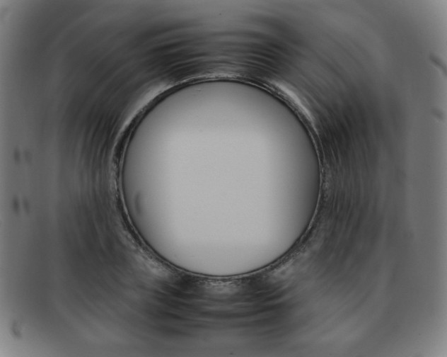 X0000092100835200709121107