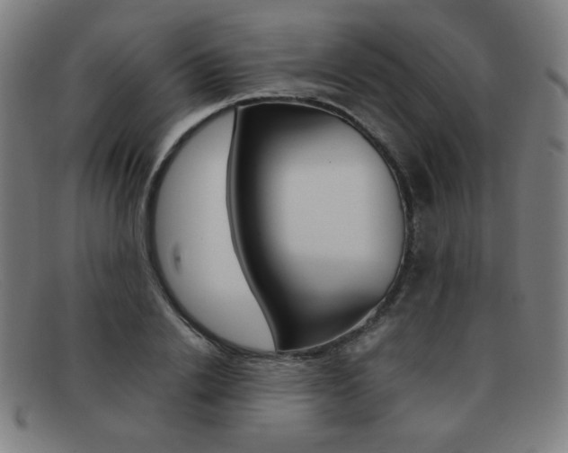 X0000092100838200709121108