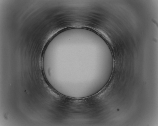 X0000092100839200709121108