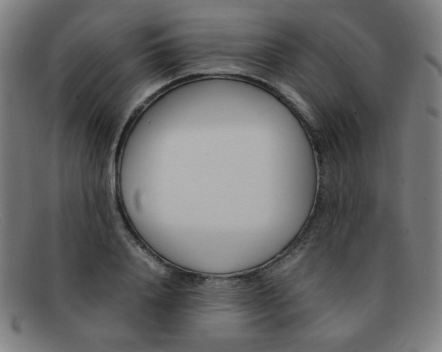 X0000092100840200709121108
