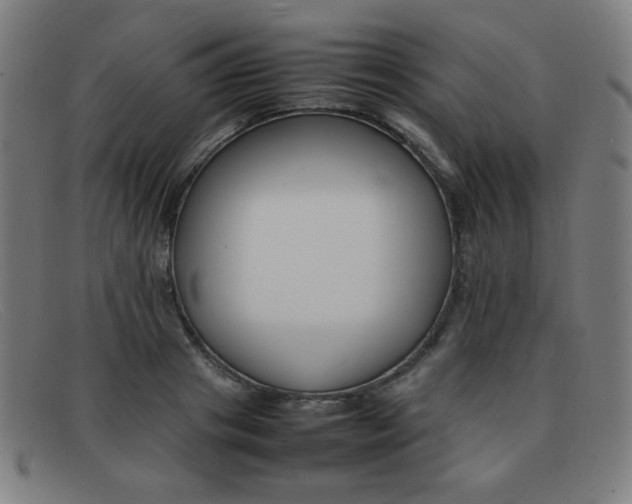 X0000092100841200709121108