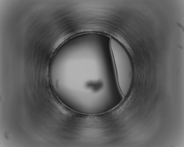 X0000092100842200709121108