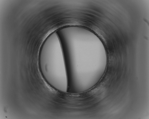 X0000092100845200709121108