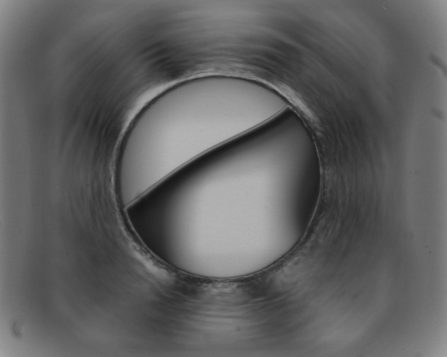 X0000092100846200709121108