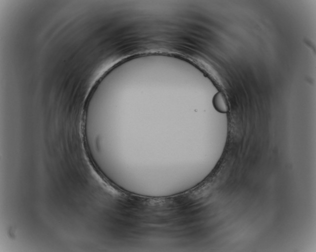 X0000092100847200709121108