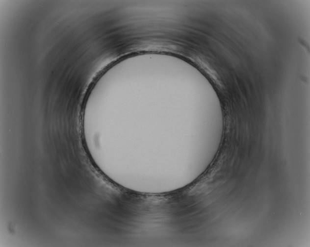 X0000092100848200709121108