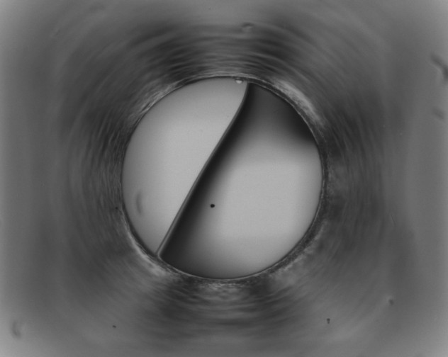 X0000092100849200709121108