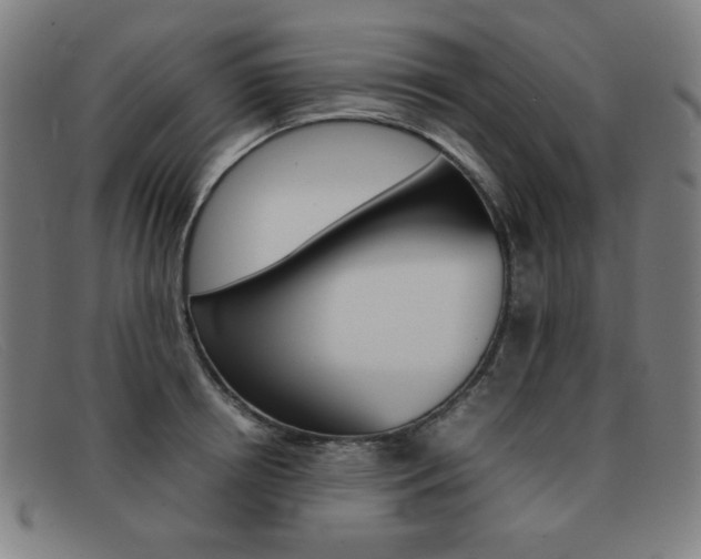 X0000092100850200709121108