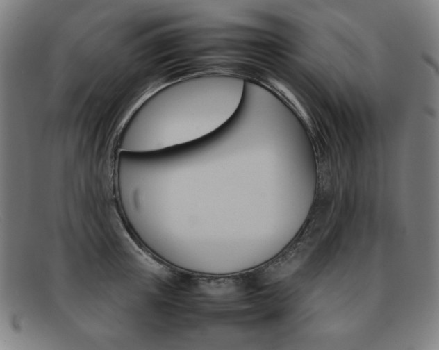 X0000092100851200709121108