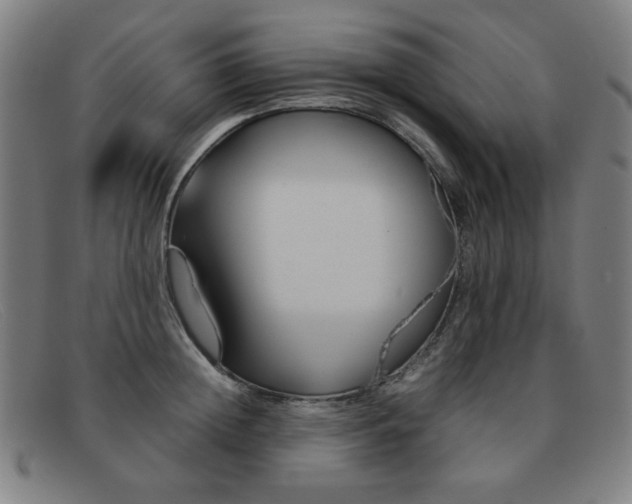 X0000092100852200709121108