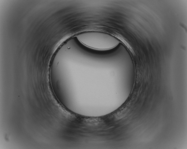 X0000092100853200709121108