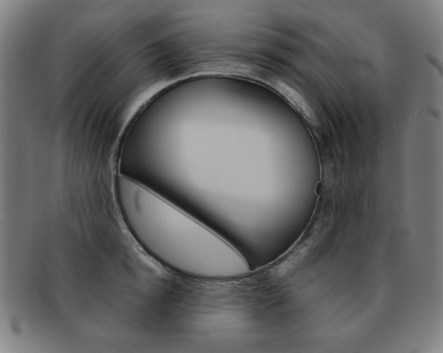 X0000092100854200709121108