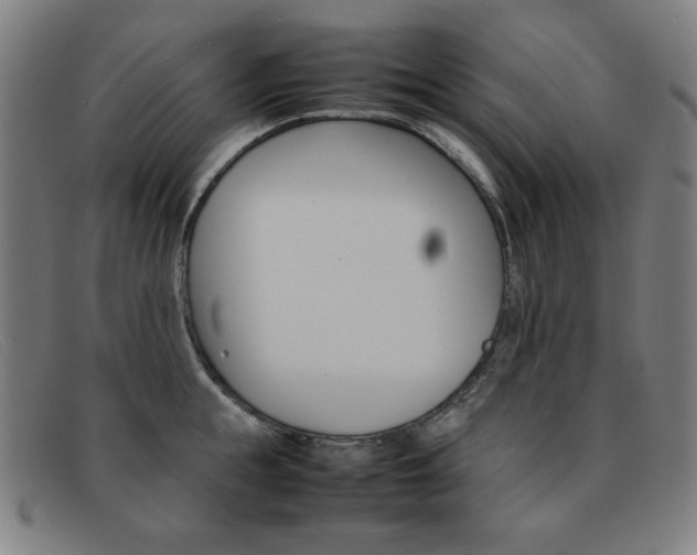 X0000092100855200709121108
