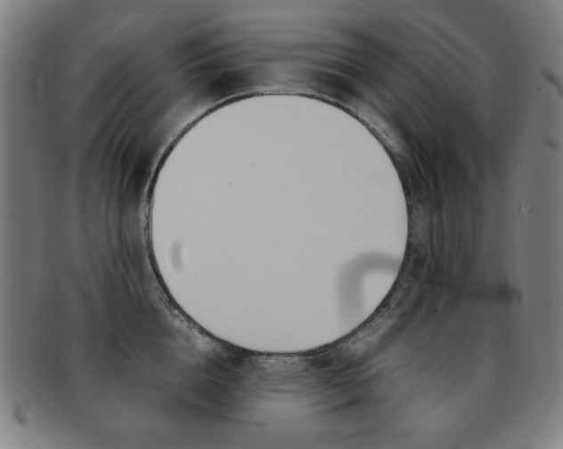 X0000092100856200709121108