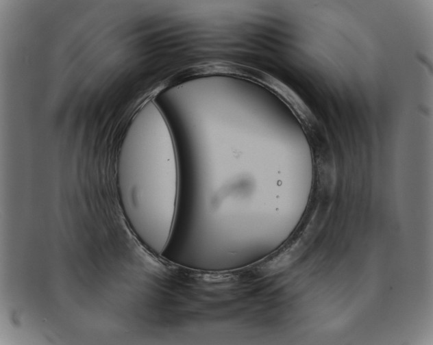 X0000092100857200709121108