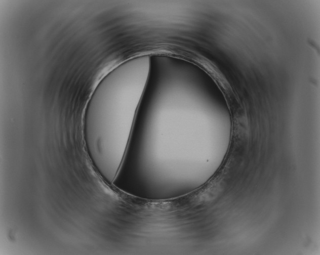 X0000092100858200709121108