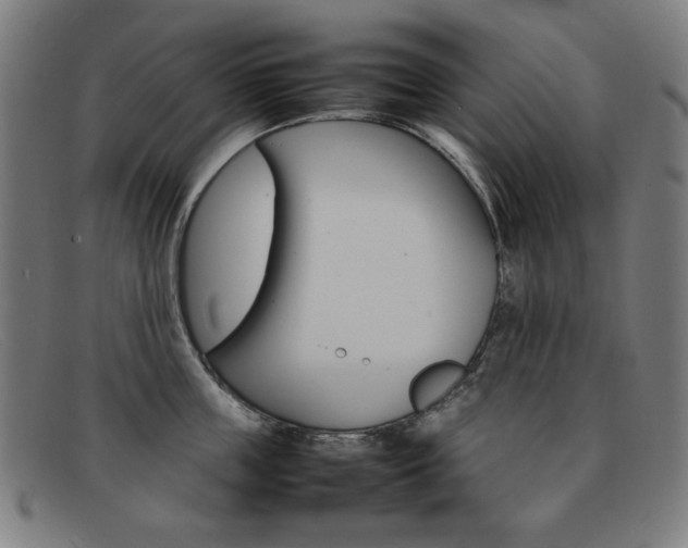 X0000092100859200709121108