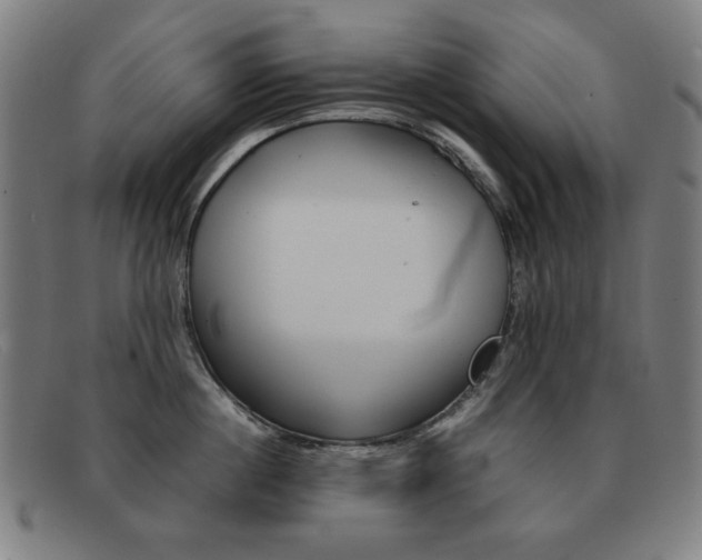 X0000092100860200709121108