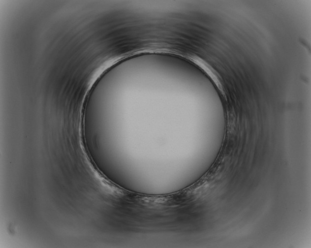 X0000092100861200709121108