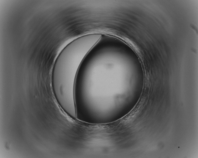X0000092100862200709121108