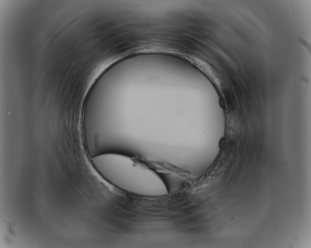 X0000092100863200709121108