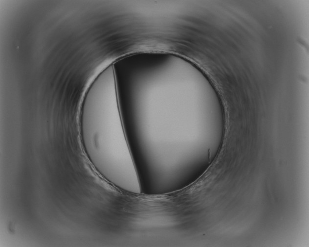 X0000092100864200709121108